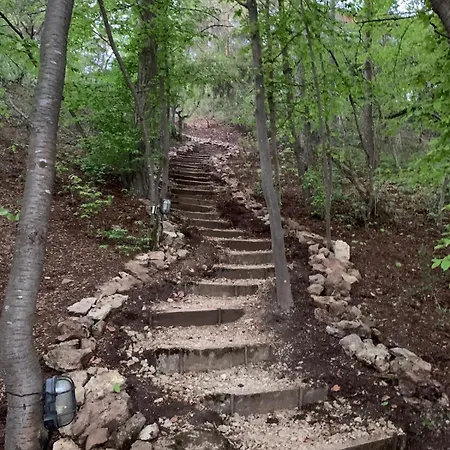 Holzhaus Devils Corner